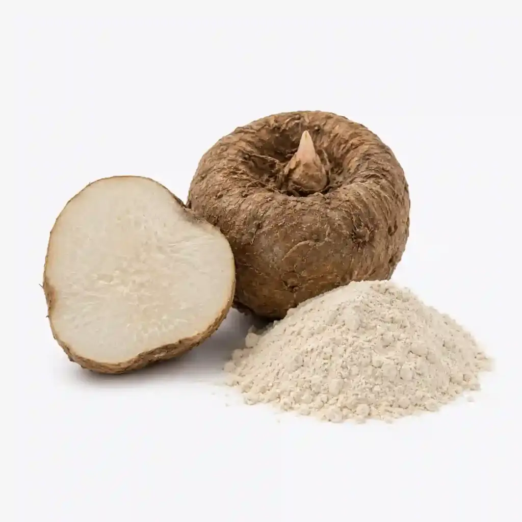 konjac root